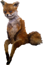 uporotij_lis.png