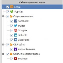 buzzbundle-social-media.jpg
