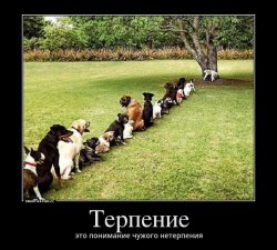 терпение.jpg