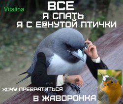 image (2).jpg