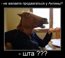 Антина.jpg