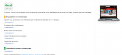 Google Speed.png
