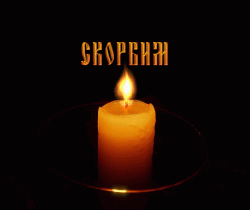 image.gif