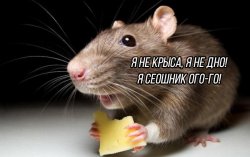 kryska.jpg