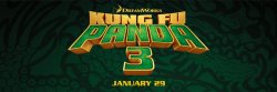 kung fu panda.jpg
