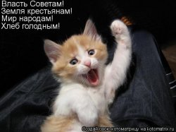 kotomatritsa_fV.jpg