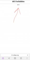 Screenshot_20201212-225726_Browser.jpg
