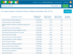 domains_example_dostavka_tsvety_ru.png