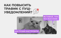 push 1920х1200.jpeg