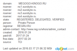 возраст домена.png