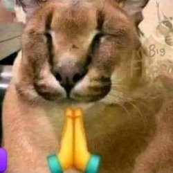 upload_2024-9-18_14-57-32.jpeg