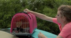Joséphine.s'arrondit.2016.HDRip.745MB.MegaPeer.avi_20160818_011553.921.jpg