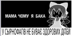 14101874693433[1].jpg