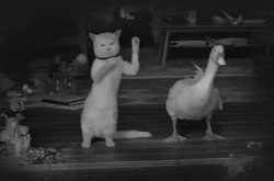 Dance_13.gif