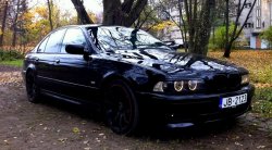 e39.jpg