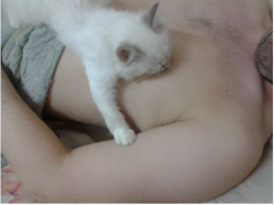 upload_2016-9-26_17-10-49.png