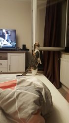 IMG-20160927-WA0002.jpg