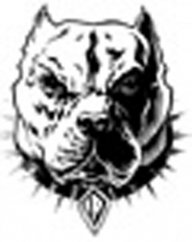 madpitbull