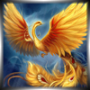 phoenixaa
