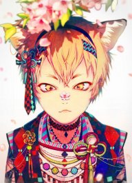 Kota