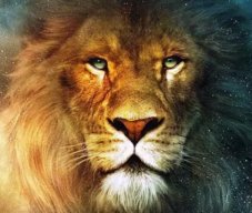 Sandbox