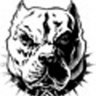 madpitbull