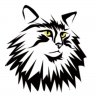 seekseven