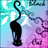 Black Cat